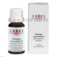 Церез ● Ceres