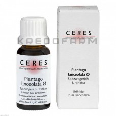 Церез ● Ceres