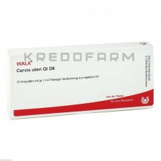 Цервікс ● Cervix