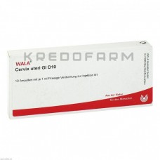 Цервікс ● Cervix