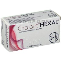 Калант ● Chalant