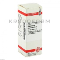 Химафила Умбеллата ● Chimaphila Umbellata