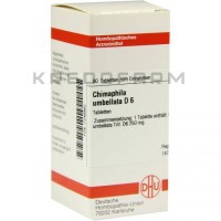 Химафила Умбеллата ● Chimaphila Umbellata