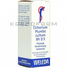 Цихориум Плумбо ● Cichorium Plumbo