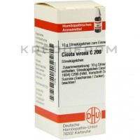 Цикута Вироса ● Cicuta Virosa