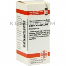 Цикута Віроса ● Cicuta Virosa