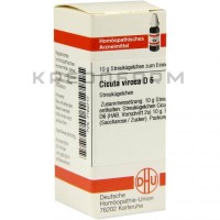 Цикута Вироса ● Cicuta Virosa