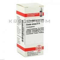 Цикута Вироса ● Cicuta Virosa