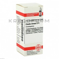 Цикута Віроса ● Cicuta Virosa