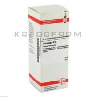 Цимицифуга ● Cimicifuga