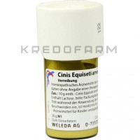 Цинис Эквисети ● Cinis Equiseti