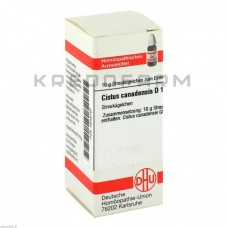 Цистус Канаденсіс ● Cistus Canadensis