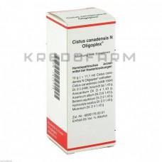 Цистус Канаденсіс ● Cistus Canadensis