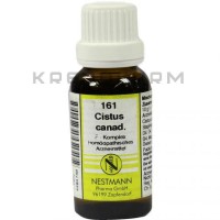 Цистус Канаденсіс ● Cistus Canadensis