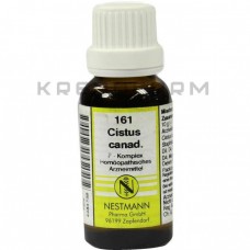 Цистус Канаденсіс ● Cistus Canadensis