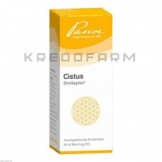 Цистус Симилиаплекс ● Cistus Similiaplex