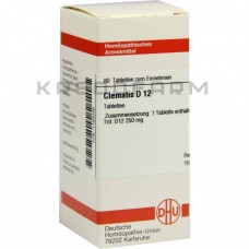 Клематис ● Clematis