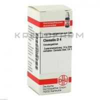 Клематис ● Clematis