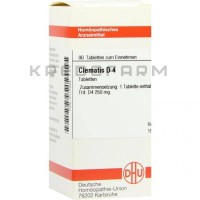 Клематис ● Clematis