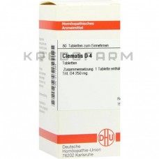 Клематис ● Clematis