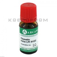 Клематис Ректа ● Clematis Recta