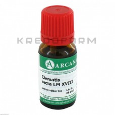 Клематис Ректа ● Clematis Recta