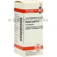 Коккус ● Coccus