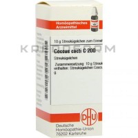 Коккус ● Coccus