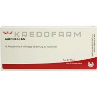 Кохлеа ● Cochlea