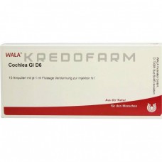 Кохлеа ● Cochlea