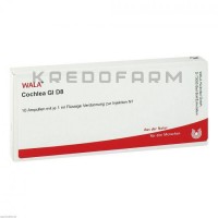 Кохлеа ● Cochlea