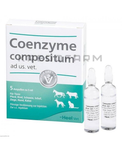 Коэнзим Композитум ампулы ● Coenzyme Compositum