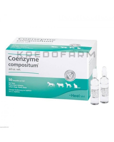 Коэнзим Композитум ампулы ● Coenzyme Compositum