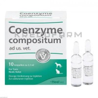 Коэнзим Композитум ● Coenzyme Compositum