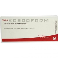 Колхікум ● Colchicum