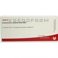 Колхікум ● Colchicum