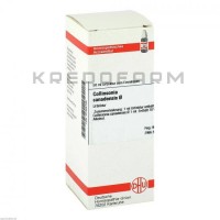 Коллинсония Канаденсис ● Collinsonia Canadensis