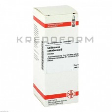 Коллінсонія Канаденсис ● Collinsonia Canadensis