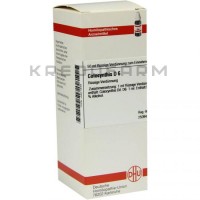 Колоцинтис ● Colocynthis