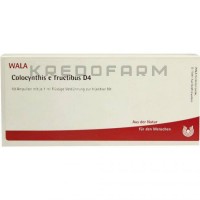 Колоцинтис ● Colocynthis