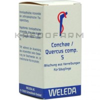 Конхэ Кверкус ● Conchae Quercus