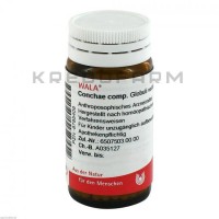 Конхе ● Conchae