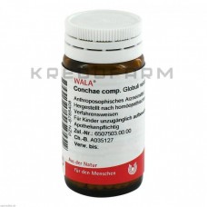 Конхе ● Conchae