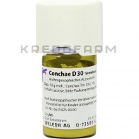 Конхе ● Conchae