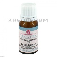 Коніум Макулатум ● Conium Maculatum