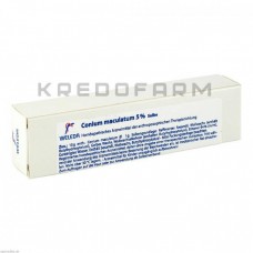 Коніум Макулатум ● Conium Maculatum