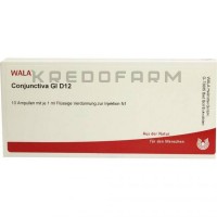 Конъюнктива ● Conjunctiva