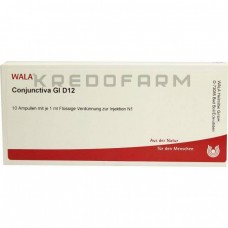 Кон'Юнктива ● Conjunctiva