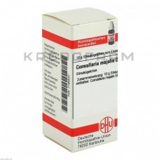 Конваллярія Майаліс ● Convallaria Majalis