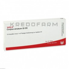 Корпус Стріатум ● Corpus Striatum